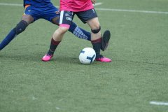 奥地利高山滑雪世界杯大回转比赛