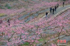 繁花迎客暖意浓 四川春季文旅提质升温